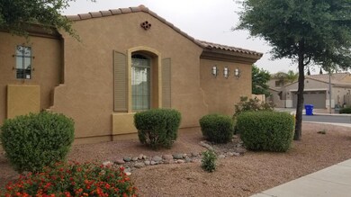 4_frontYard1