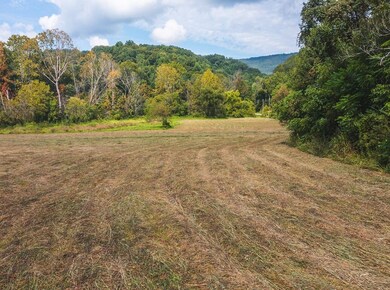 Drone Photo