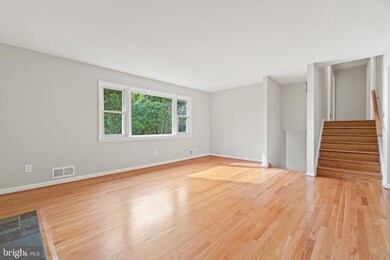 4625 24th Rd N, Arlington, VA 22207 - photo 5