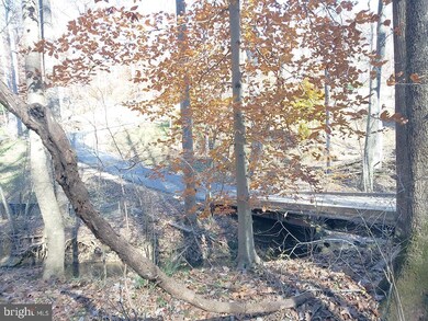 0 View Dr unit VAWR2002524, Front Royal, VA 22630 - photo 4