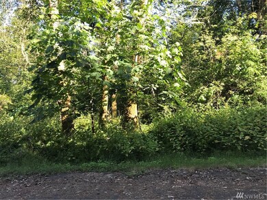 10720 Seaview Dr unit AI, Anderson Island, WA 98303 - photo 3