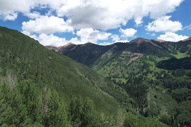 TBD Forest Service Road 567, Mancos, CO 81328 - photo 3