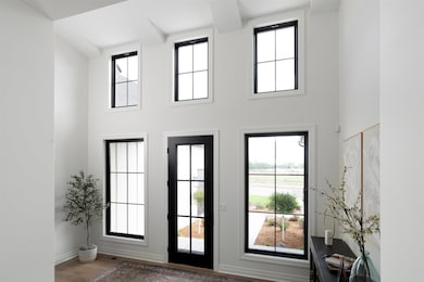 Entryway featuring hardwood / wood-style floors and a healthy amount of sunlight