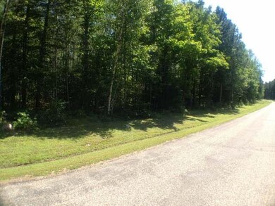 ON Poplar Dr, Tomahawk, WI 54487 - photo 3