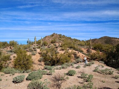 Looking North from cul de sac