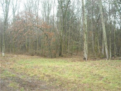 1063 John Lunn Rd, Lewisburg, TN 37091 - photo 5