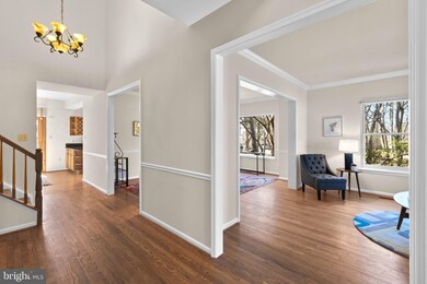 3310 Decatur Ave, Kensington, MD 20895 - photo 3