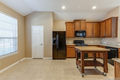 3722 Texas Sotol, San Antonio, TX 78261 - photo 7