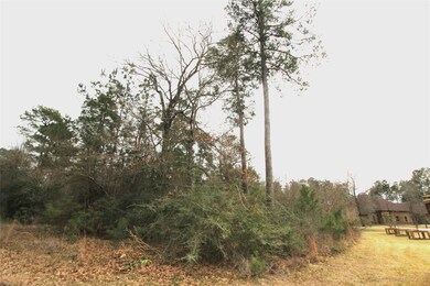 0 Canyon Ct unit 11654481, Conroe, TX 77385 - photo 6