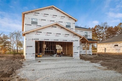 425 Foxtail Dr, Freeburg, IL 62243 - photo 4