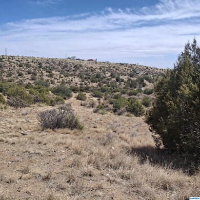 1112 Mountain View Rd, Silver City, NM 88061 - photo 4