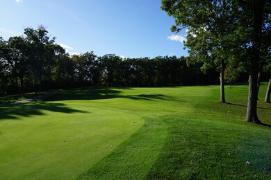 Great Views of Palmer 14