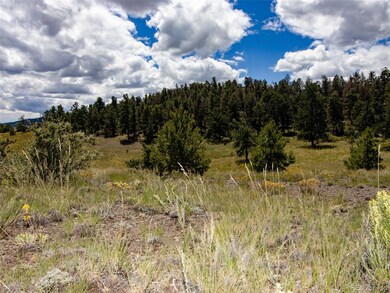 172 Wolfe Rd, Hartsel, CO 80449 - photo 4