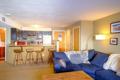 350 Mountain Rd unit B107, Ludlow, VT 05149 - photo 4