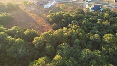 608 Latigo Ct, Weatherford, TX 76088 - photo 4