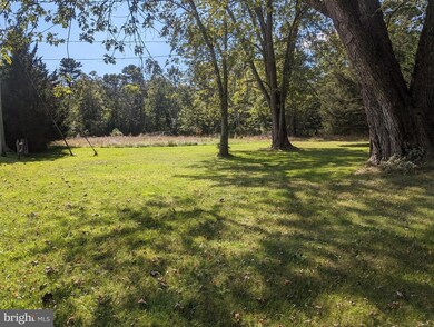 4059 Spruce Ave, Egg Harbor Township, NJ 08234 - photo 6