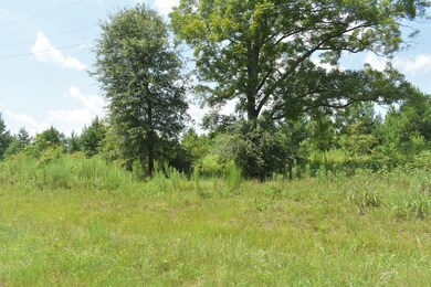 LOT 42 Willow Oak Ln, Garfield, GA 30420 - photo 2