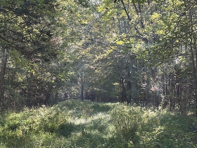 000 Hwy 9, Eupora, MS 39744 - photo 6