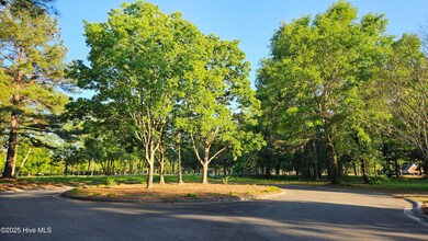 176 Red Fox Run Dr, Wallace, NC 28466 - photo 7