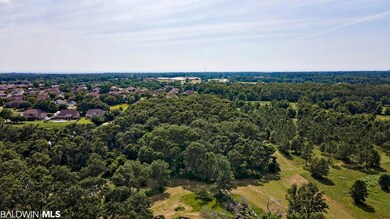 0 Chet Ave unit 323947, Fairhope, AL 36532 - photo 2