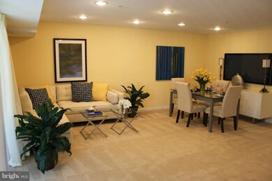 1138 Cove Rd unit 301, Annapolis, MD 21403 - photo 6