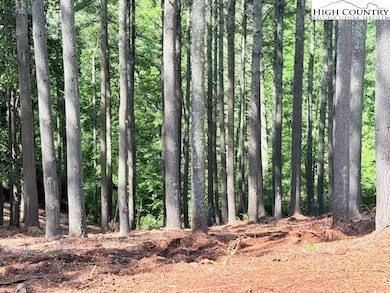 Lot 37 Smoke Rise Path, West Jefferson, NC 28694 - photo 5