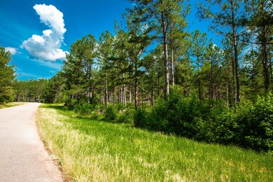 LOT B Bill Dorn Rd, Appling, GA 30802 - photo 2