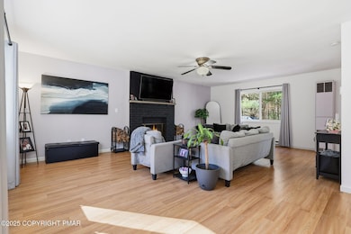 104 Scotch Pine - LR1