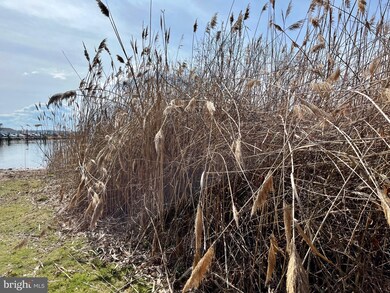 942 Frog Mortar Rd, Baltimore, MD 21220 - photo 5