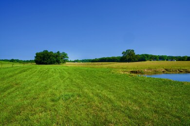 1 Browntown Rd, Sparta, TN 38583 - photo 7