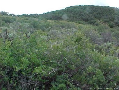 Land/Lot.