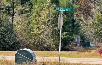 312 Iron Horse Rd, Willis, TX 77358 - photo 5