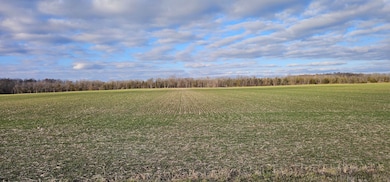 Kennedy Rd, Romulus, NY 14541 - photo 4