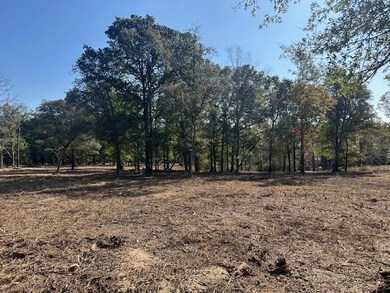 0 Hampton Rd unit 7597551, Mobile, AL 36608 - photo 4