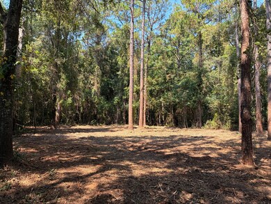 Lot 3 Hampton Way, Dothan, AL 36305 - photo 5