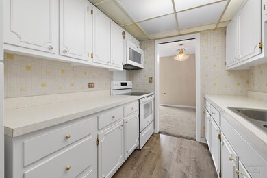 5300 Walnut Ave unit 12B, Downers Grove, IL 60515 - photo 5