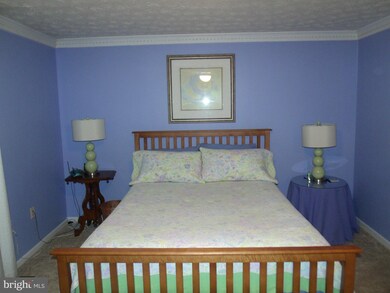 12037 Beltsville Dr, Beltsville, MD 20705 - photo 5