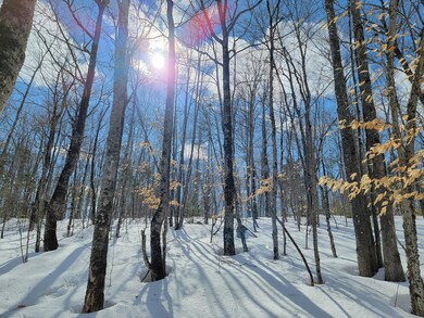 Roxbury Notch Lot 8B