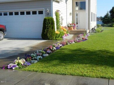 3 Flowers Along Walkway
