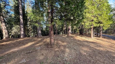 19045 Pine Dr, Pioneer, CA 95666 - photo 4