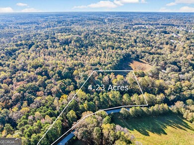1238 Tapp Wood Rd, Hoschton, GA 30548 - photo 3