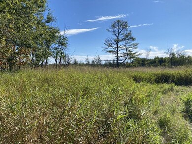 N3816 7th St, Weyerhaeuser, WI 54895 - photo 3