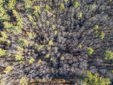 35 Hoffman Ln, Lebanon, ME 04027 - photo 7