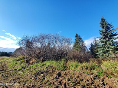 17309 Kimeluk St, Ninilchik, AK 99639 - photo 4