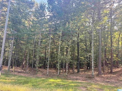 LOT 2 Morton Rd unit 2, Warrior, AL 35180 - photo 3