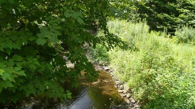 00 Vt Route 9 W, Searsburg, VT 05363 - photo 4