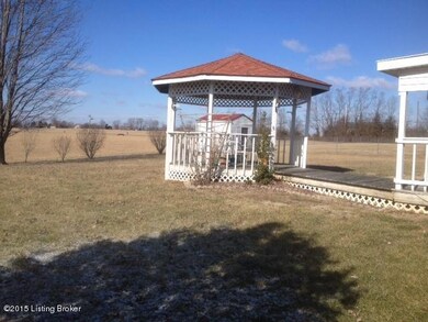 225 Whitfield back yard 1