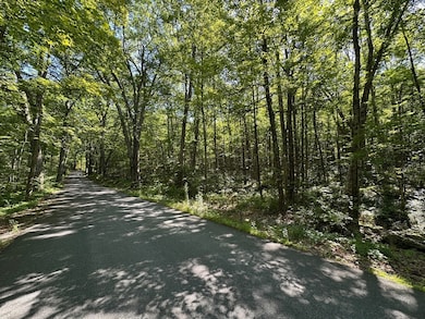 0 Nichewaug Rd, Petersham, MA 01366 - photo 4