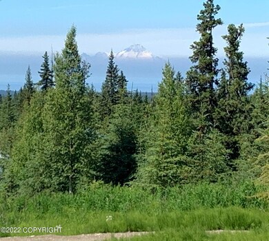 64490 Trail Rd, Anchor Point, AK 99556 - photo 4