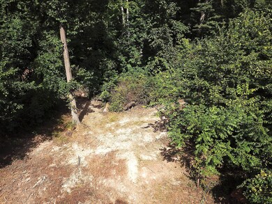 0 Dean Rd unit 225032132, Ostrander, OH 43061 - photo 4